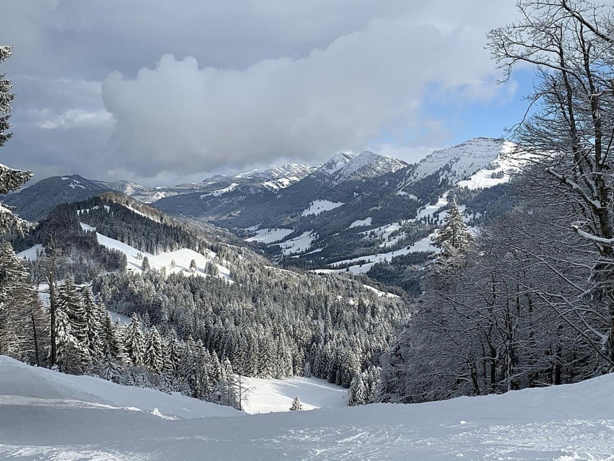 Appartement Nr 19, Alpenappartementhaus, Oberstaufen-Steibis, Allgaeu, Oberstaufen Plus Exteriér fotografie