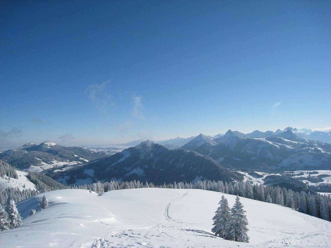 Appartement Nr 19, Alpenappartementhaus, Oberstaufen-Steibis, Allgaeu, Oberstaufen Plus Exteriér fotografie